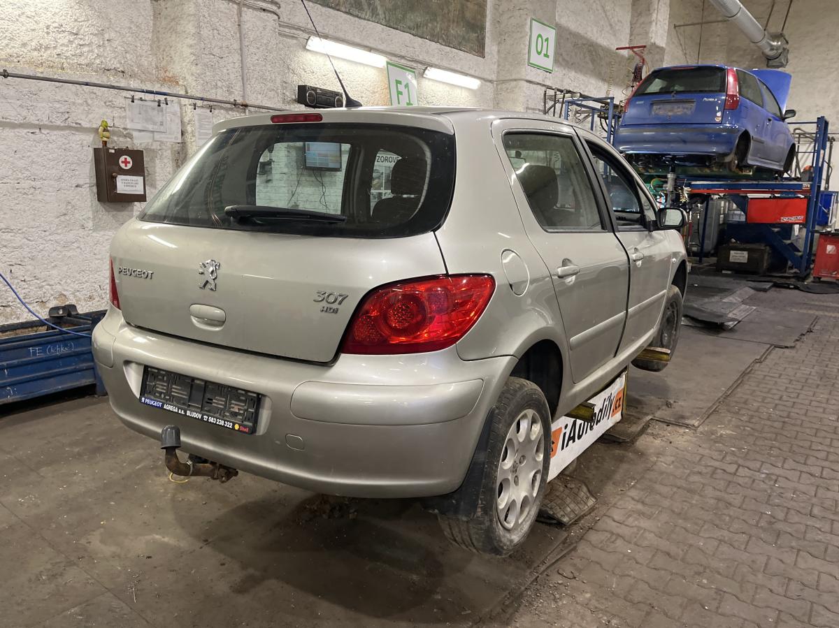 PEUGEOT 307 2007