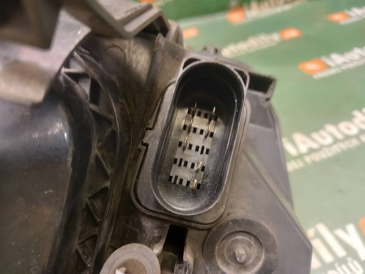 Světlo LP Halogen  FORD FOCUS iAutodily 3