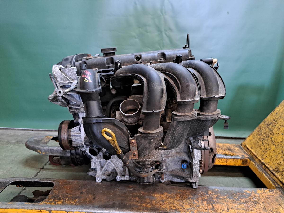 Motor 1,6 74kW, HWDA FORD FOCUS 2004-2007