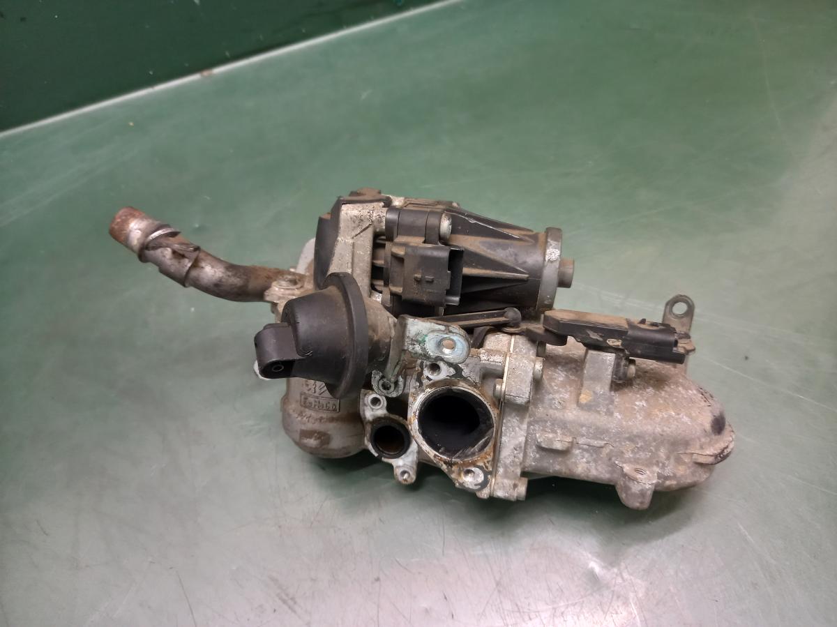 EGR ventil 9671187780 PEUGEOT 5008 iAutodily 2