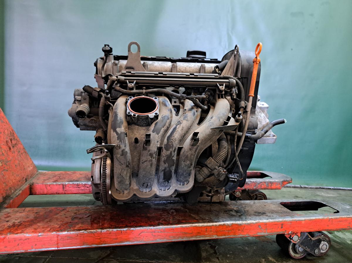 Motor 1,4 59kW, BUD VOLKSWAGEN GOLF iAutodily 3