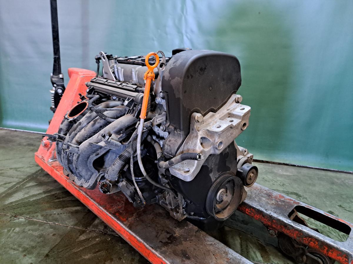 Motor 1,4 59kW, BUD VOLKSWAGEN GOLF iAutodily 4