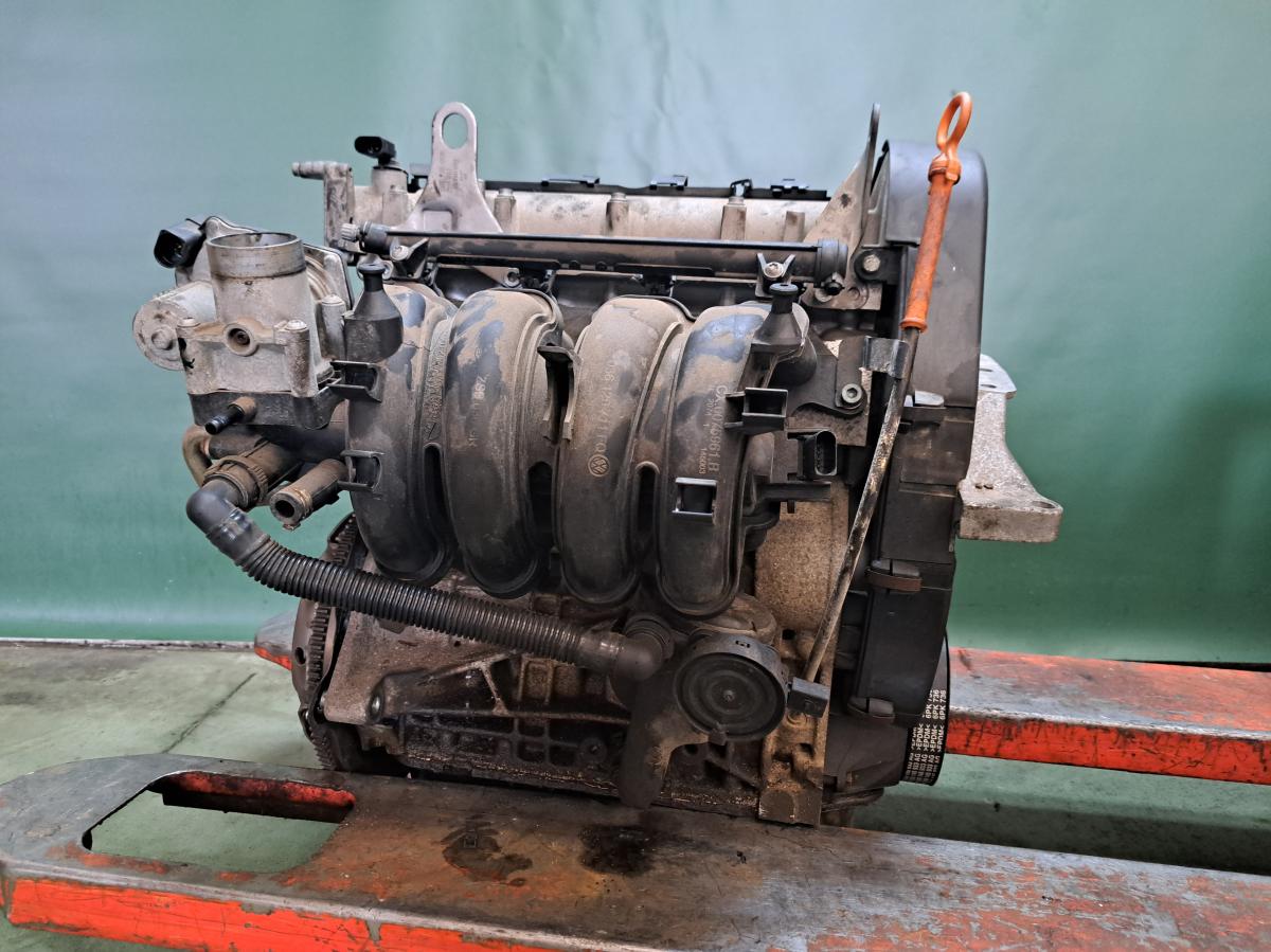 Motor 1,4 55kW, BKY ŠKODA FABIA iAutodily 3