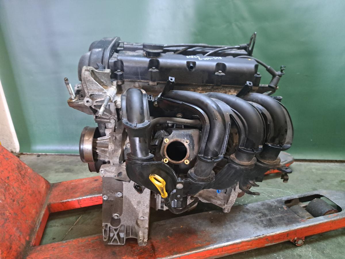 Motor 1,4 59kW, ASDA FORD FOCUS 2007-2010