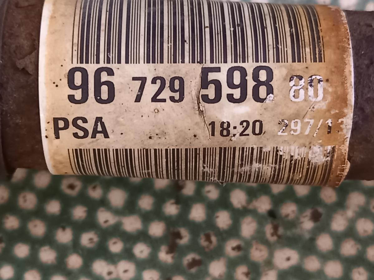 Poloosa PP 9672959880 CITROEN C5 iAutodily 3